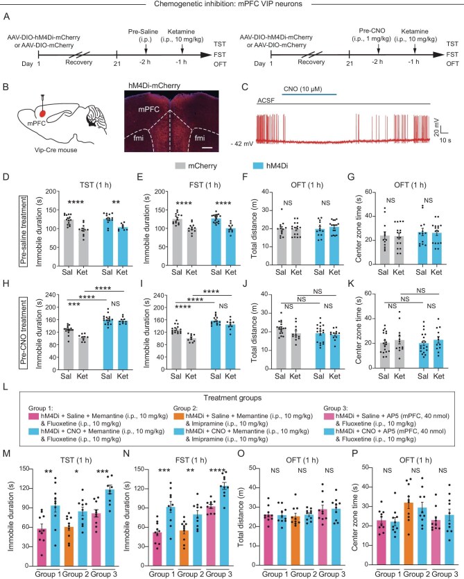 Click to view full size nwaf367fig5