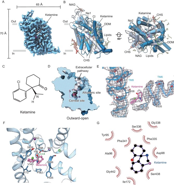 Click to view full size nwaf367fig2