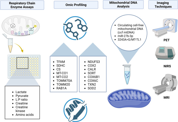 Click to view full size bb-2025-13145f2
