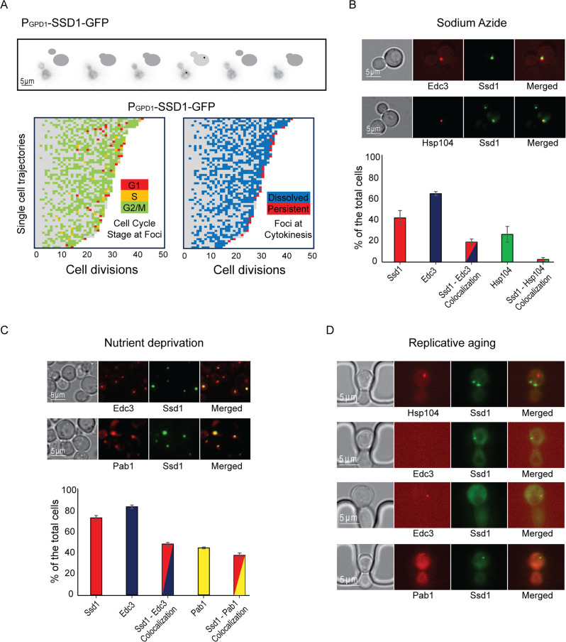 Click to view full size elife-108892-fig2