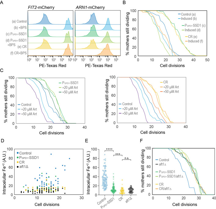 Click to view full size elife-108892-fig5
