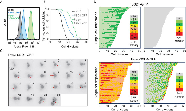 Click to view full size elife-108892-fig1