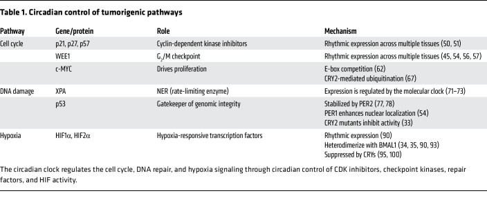 Circadian control of tumorigenic pathways Circadian control of tumorigenic pathways