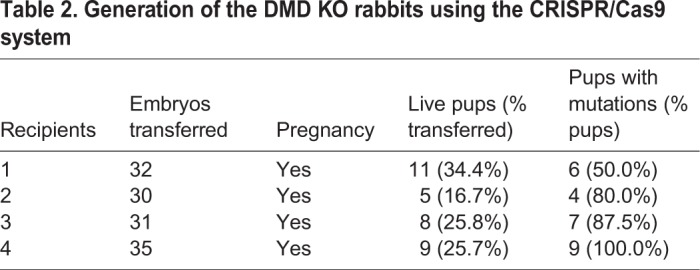Generation of the DMD KO rabbits using the CRISPR/Cas9 system Generation of the DMD KO rabbits using the CRISPR/Cas9 system