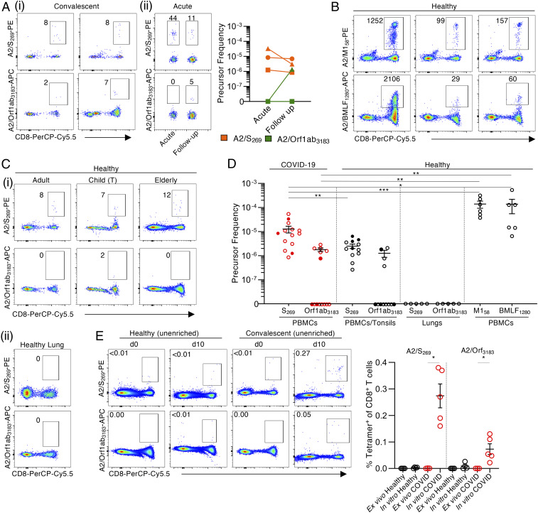 Click to view full size pnas.2015486117fig03
