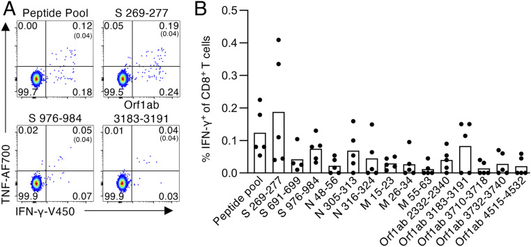 Click to view full size pnas.2015486117fig02