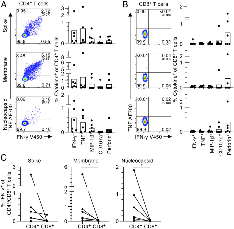 Click to view full size pnas.2015486117fig01