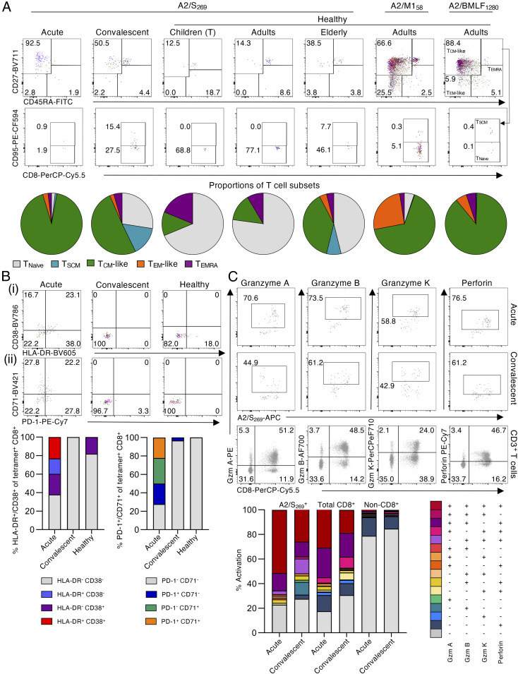 Click to view full size pnas.2015486117fig04