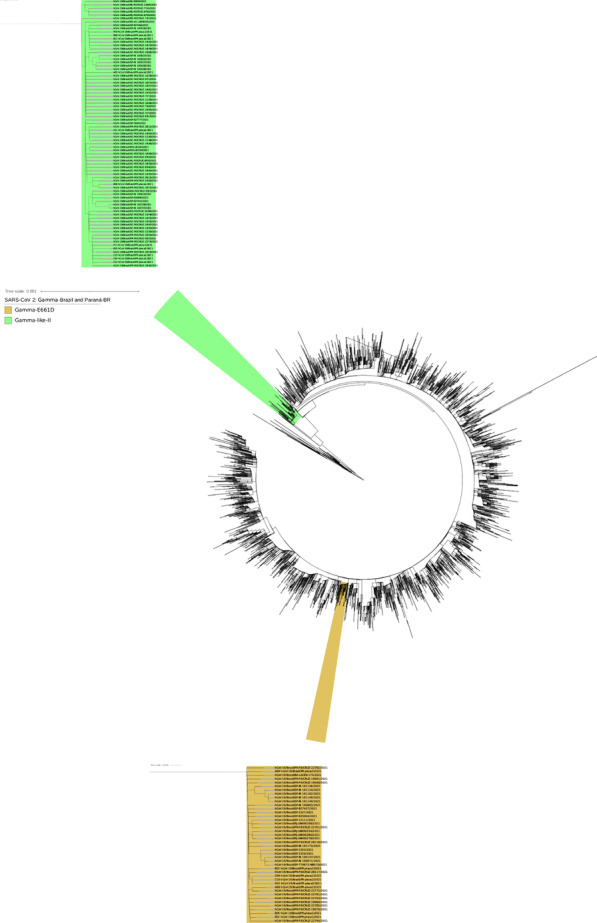 Click to view full size 12985_2021_1690_Fig5_HTML