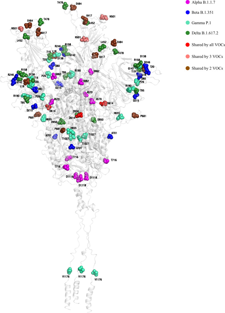 Click to view full size spectrum.01096-21-f002