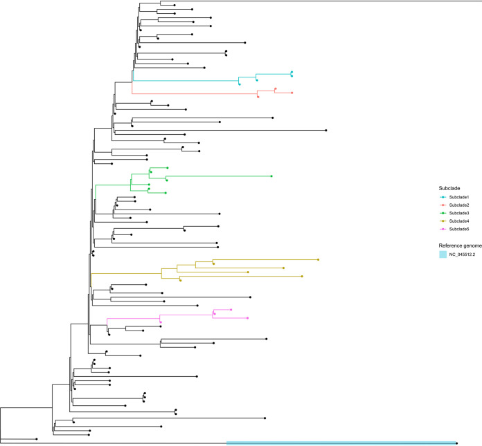 Click to view full size spectrum.01511-21-f001