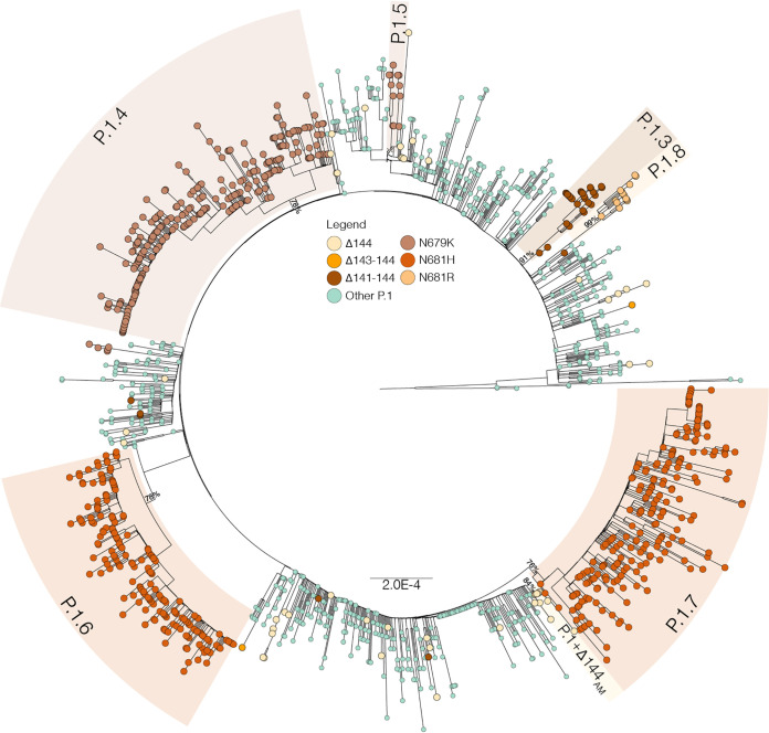 Click to view full size spectrum.02366-21-f002