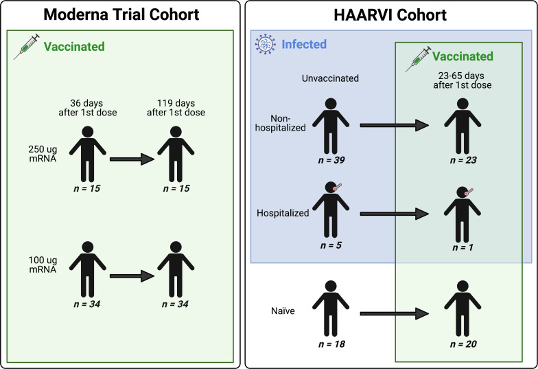 Click to view full size elife-73490-fig1