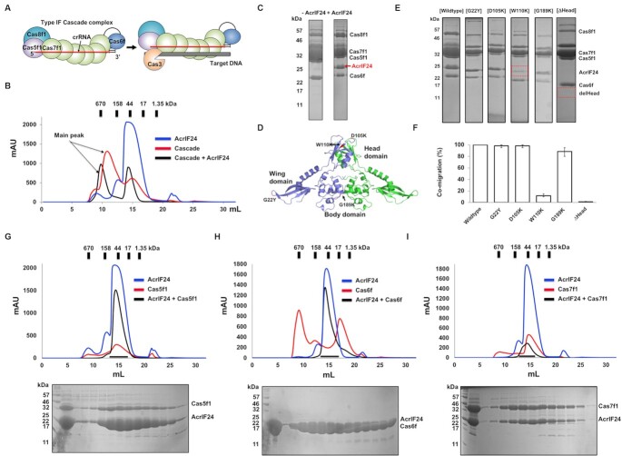 Click to view full size gkac880fig5